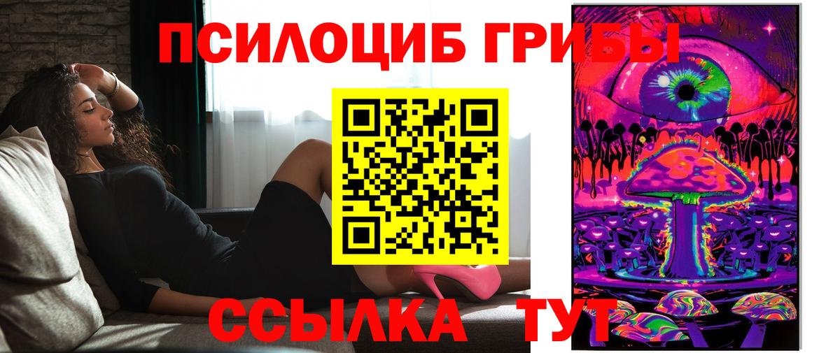 Галлюциногенные грибы Magic Shrooms  Вход с VPN  Псилоцибиновые грибы Psilocybine cubensis  Губкин 