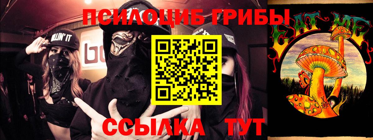 Галлюциногенные грибы прущие грибы Губкин